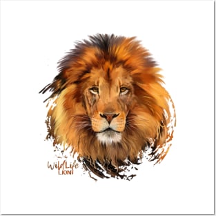 WILD LIFE LION Posters and Art